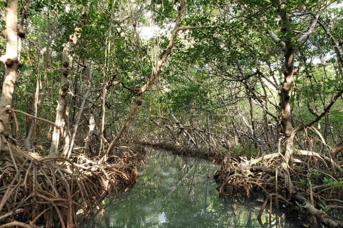Image 5
