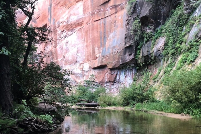 Image 6