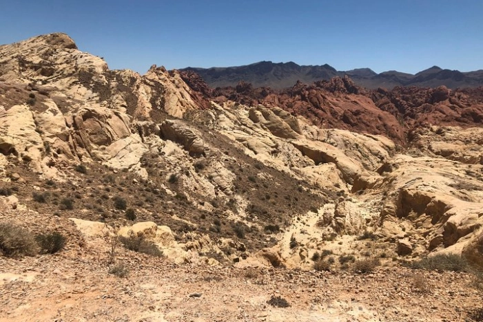 Image 10