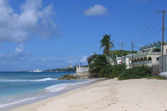 Image 4