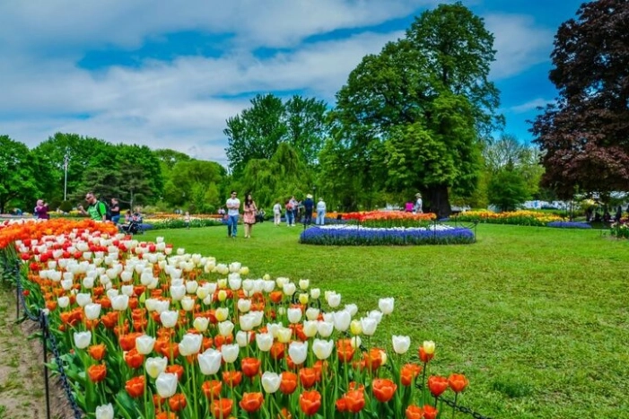 Windmill Island 1 Day Tour from Chicago | Kids 50% Off