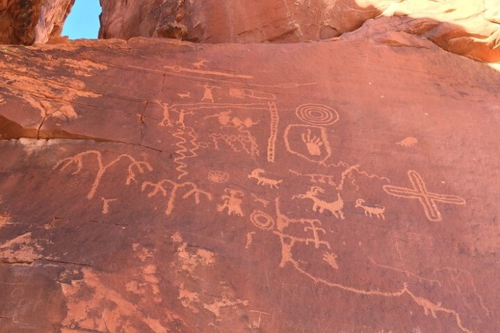 Image 7
