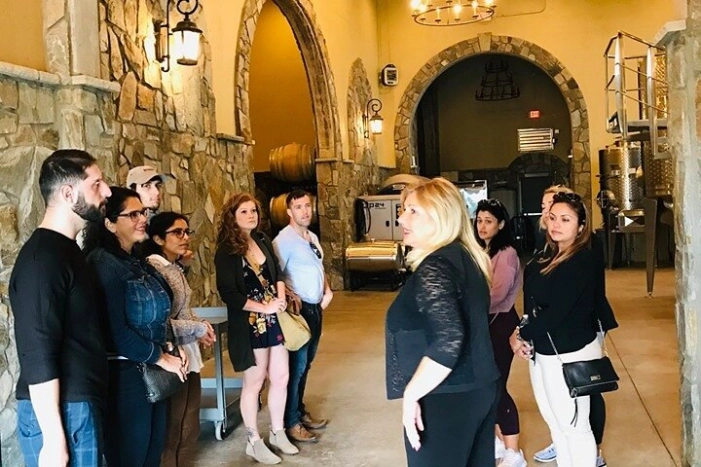 Virginia Wineries Guided Tour & Tastings from Washington DC