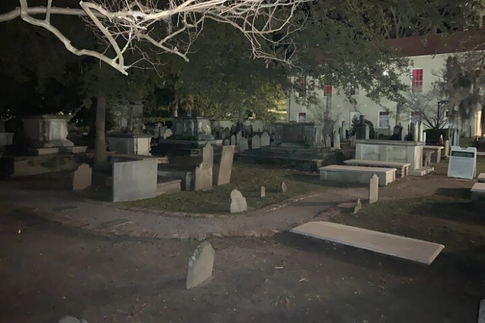 Image 11