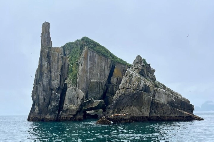 Image 22