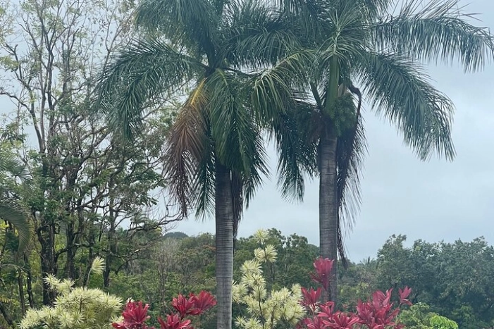 Image 12