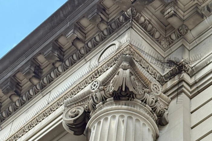 Image 8