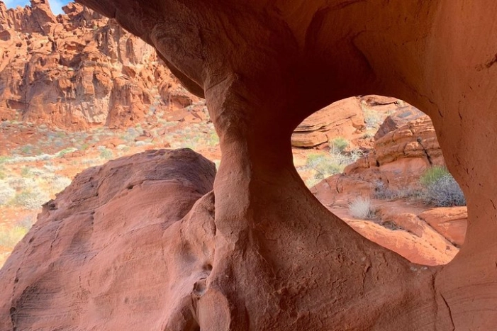 Image 8