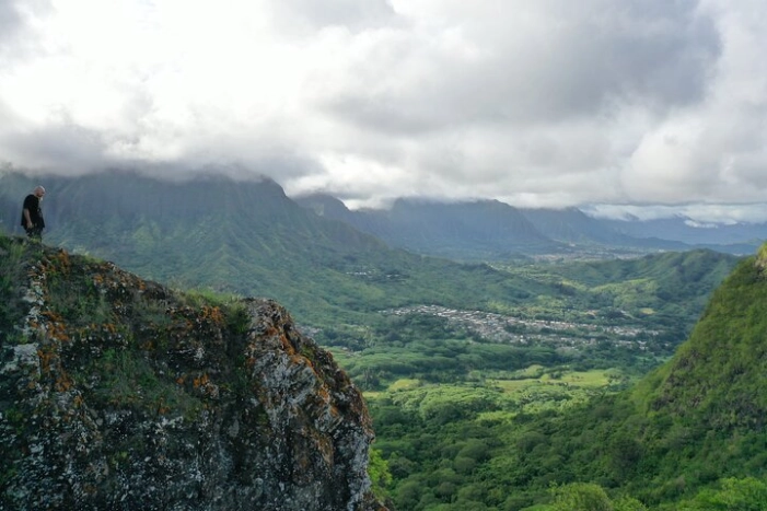 Image 15