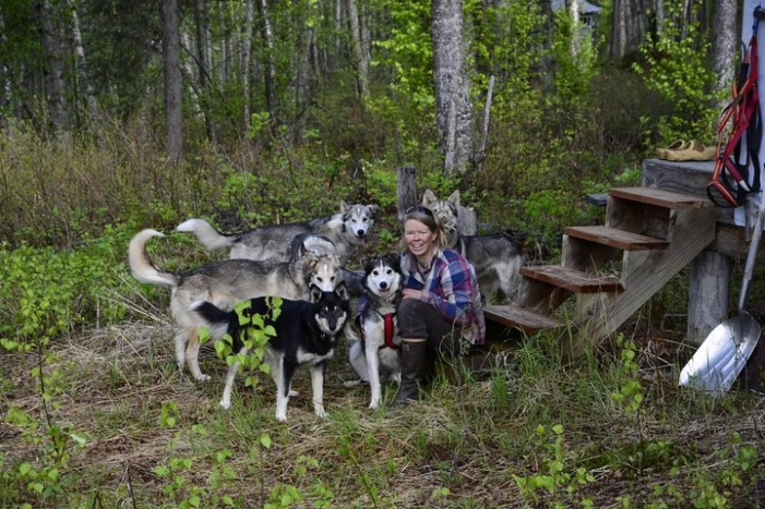 Intimate Visit of an Alaskan Off-Grid Homestead with Sled Dogs - Talkeetna