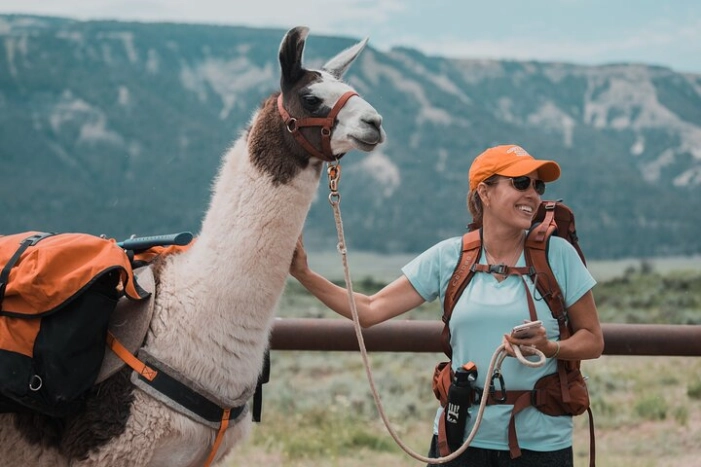 Spectacular 8-Hour Guided Llama Hike with Lunch and Dinner