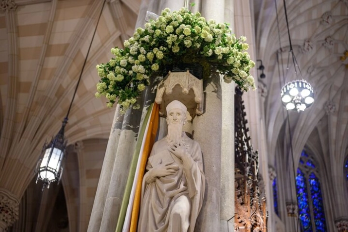 Image 14