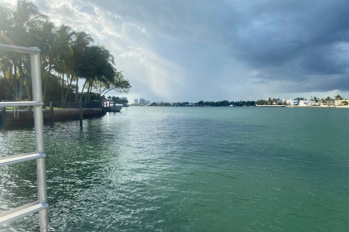 Image 21