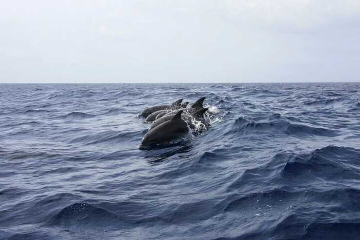 Image 14