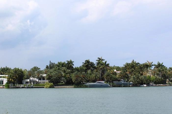 Image 15