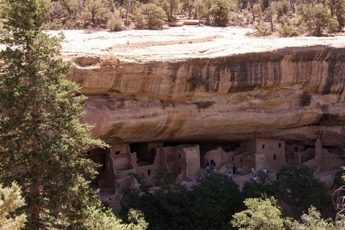 Image 4
