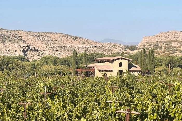 Image 5