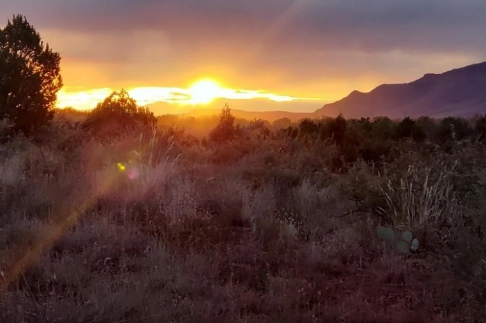 Sunrise Wildlife Safari Tour by Jeep from Sedona
