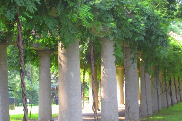 Image 13