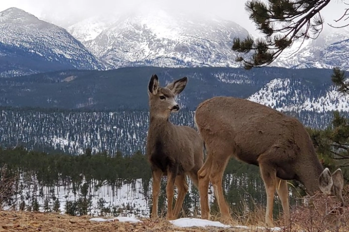 Lower Valley Tour RMNP