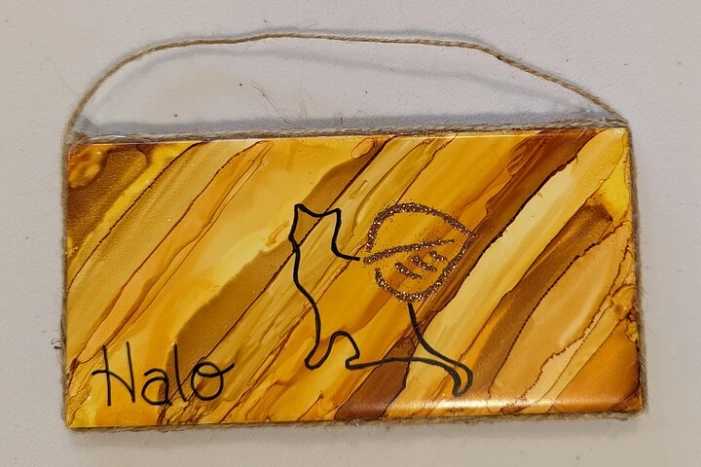 Image 5