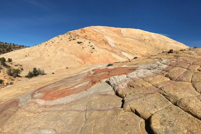 Image 4