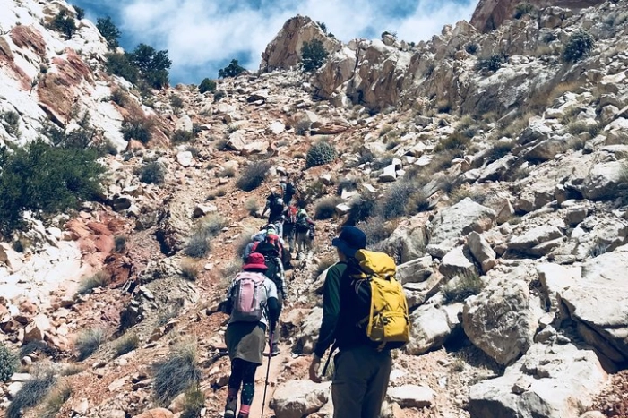 Image 15