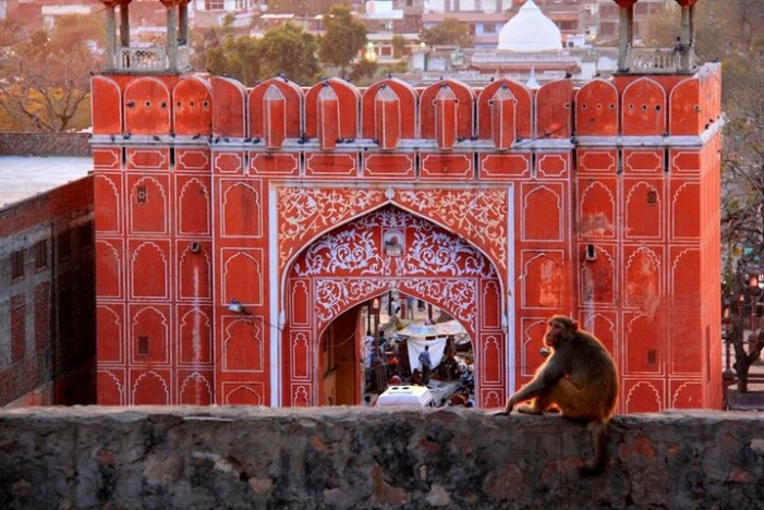 Image 7
