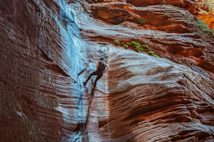 Image 11