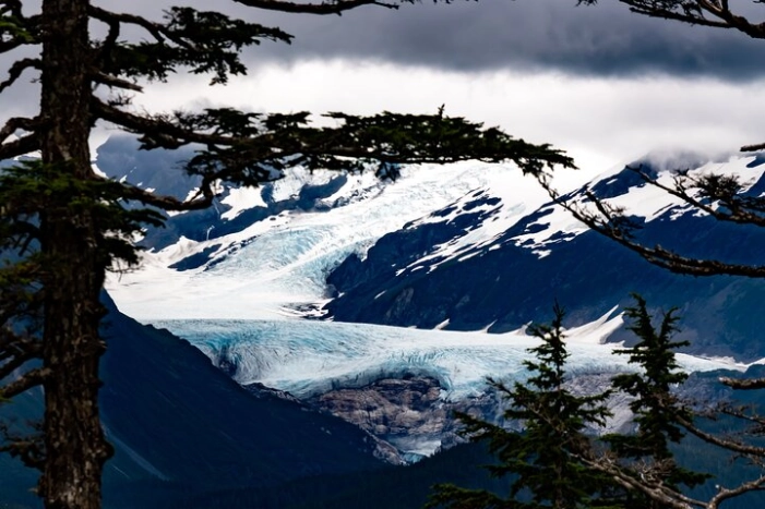 Exquisite Wildlife & Wilderness Photo Tour Anchorage -Whittier