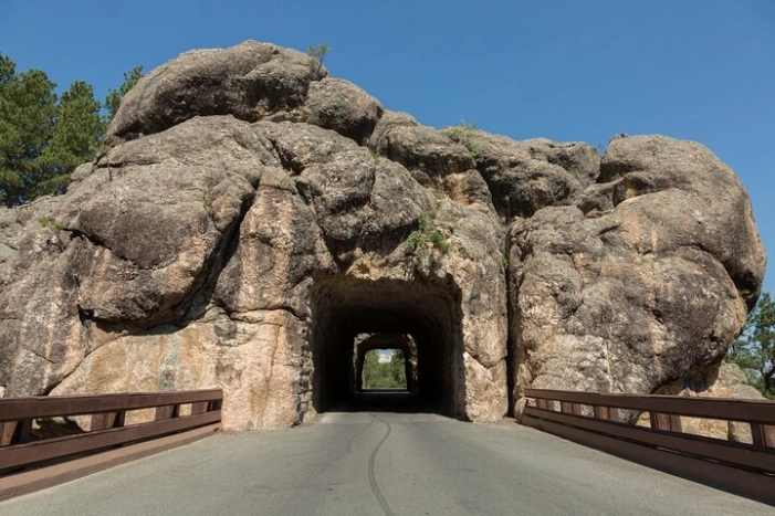 Image 15