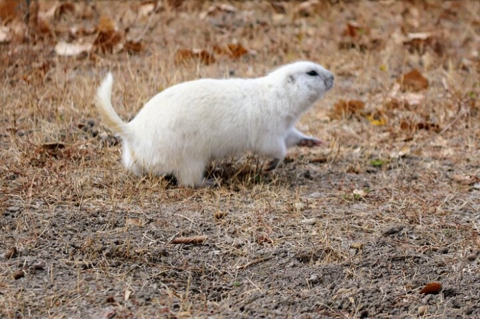 Image 20
