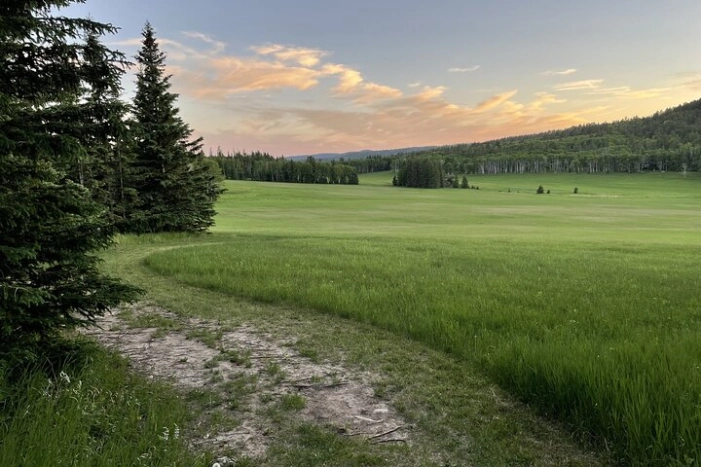 Image 32