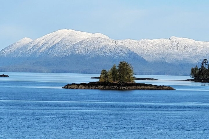 Image 11