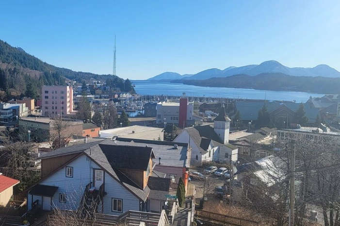 Image 15