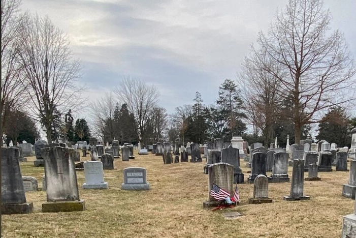 Image 11