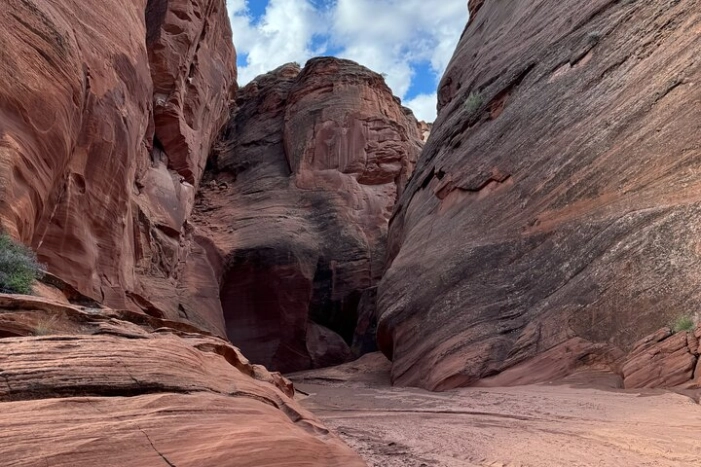 Image 6