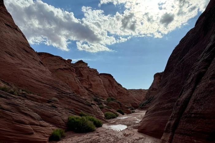 Image 11