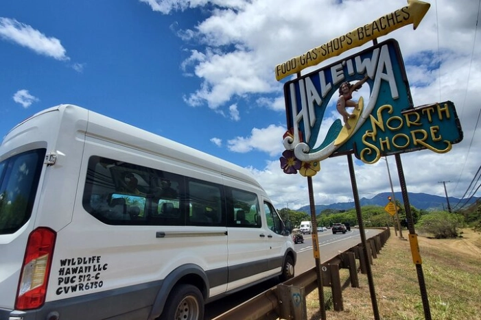 Round Trip North Shore Shuttle from Waikiki to Haleiwa Town / Haleiwa Harbor