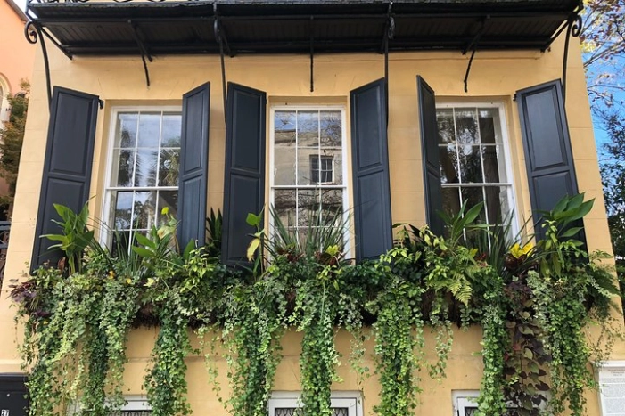 Image 13