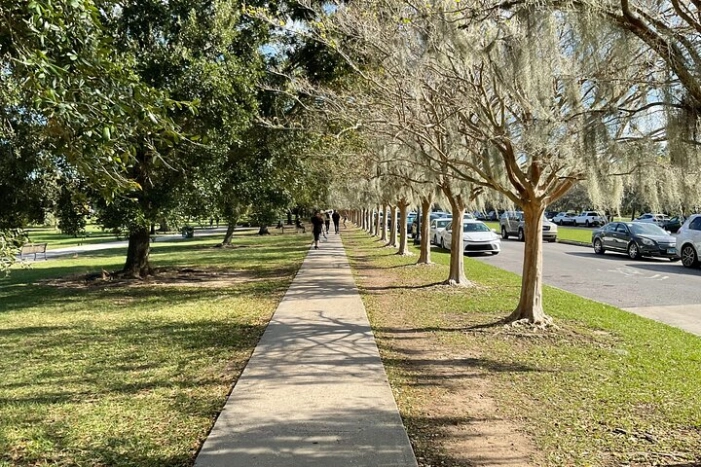 Image 13