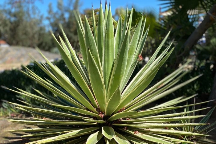 Image 10