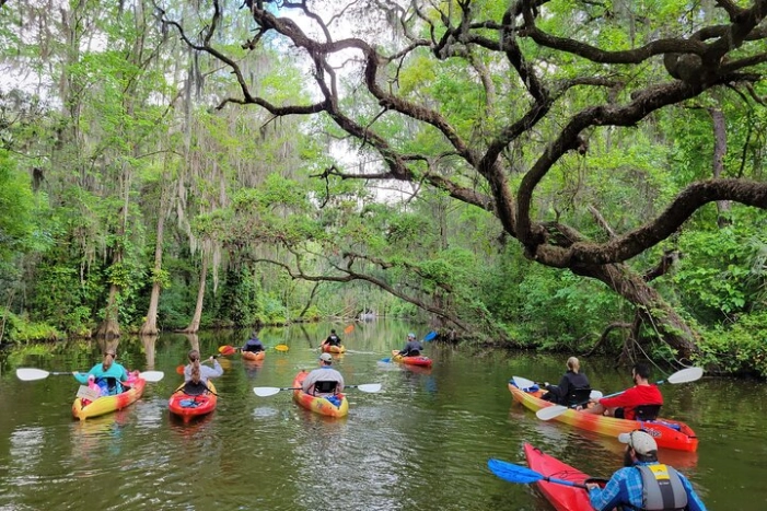 Dora Canal Half-Day Kayak and Paddle Board Rental Adventure 