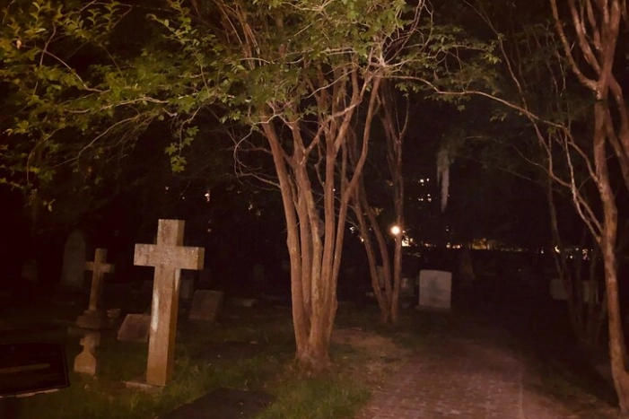 Image 7