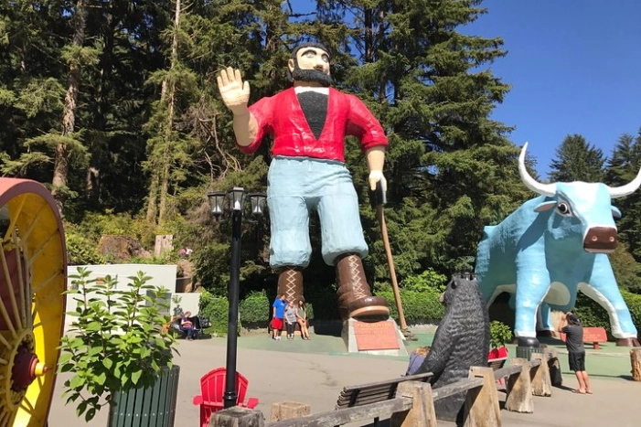 Image 31