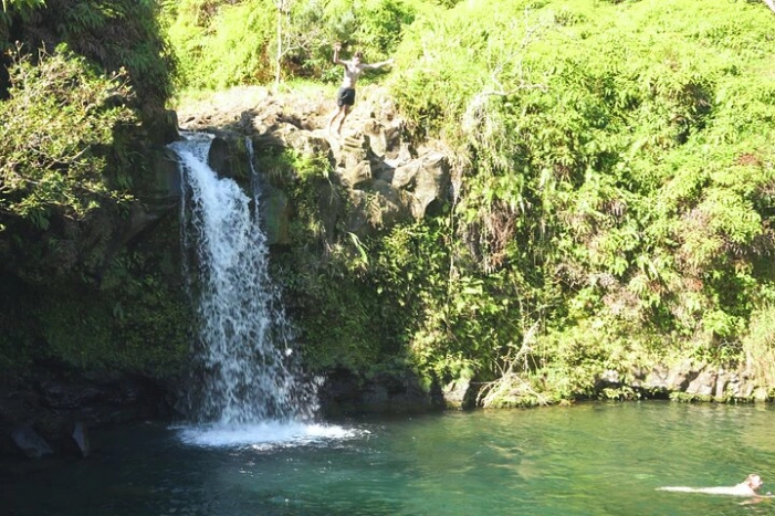 Image 12
