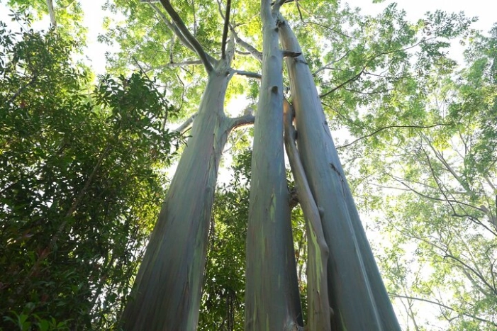 Image 8