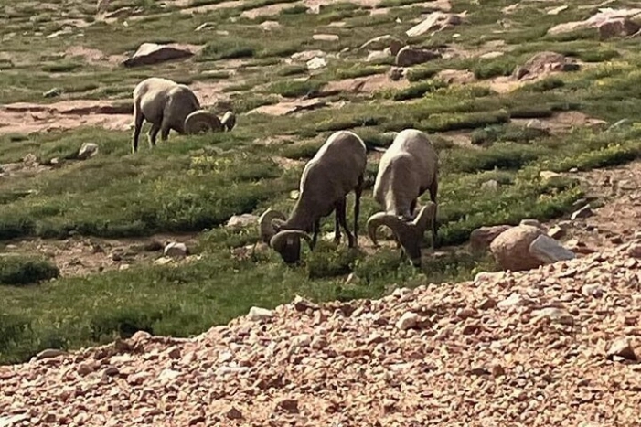 Image 12