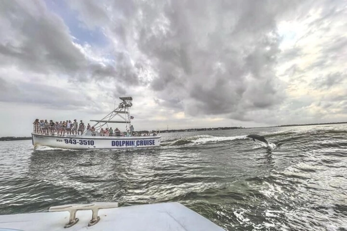 Dolphin Watching aboard the Cold Mil Fleet 