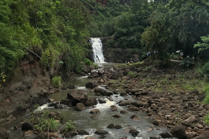 Image 31